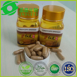 Yarsagumba Herb Pills No Side Effect Penis Erection Capsule